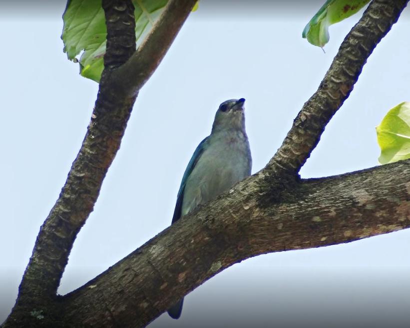 الشقق الفندقية Florianópolisفي  Floripa Barra Flats المظهر الخارجي الصورة