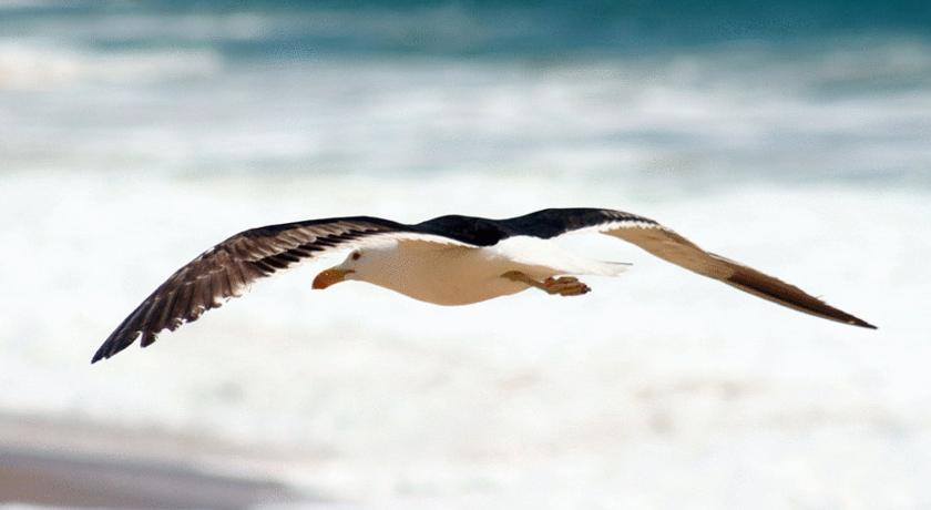 الشقق الفندقية Florianópolisفي  Floripa Barra Flats المظهر الخارجي الصورة